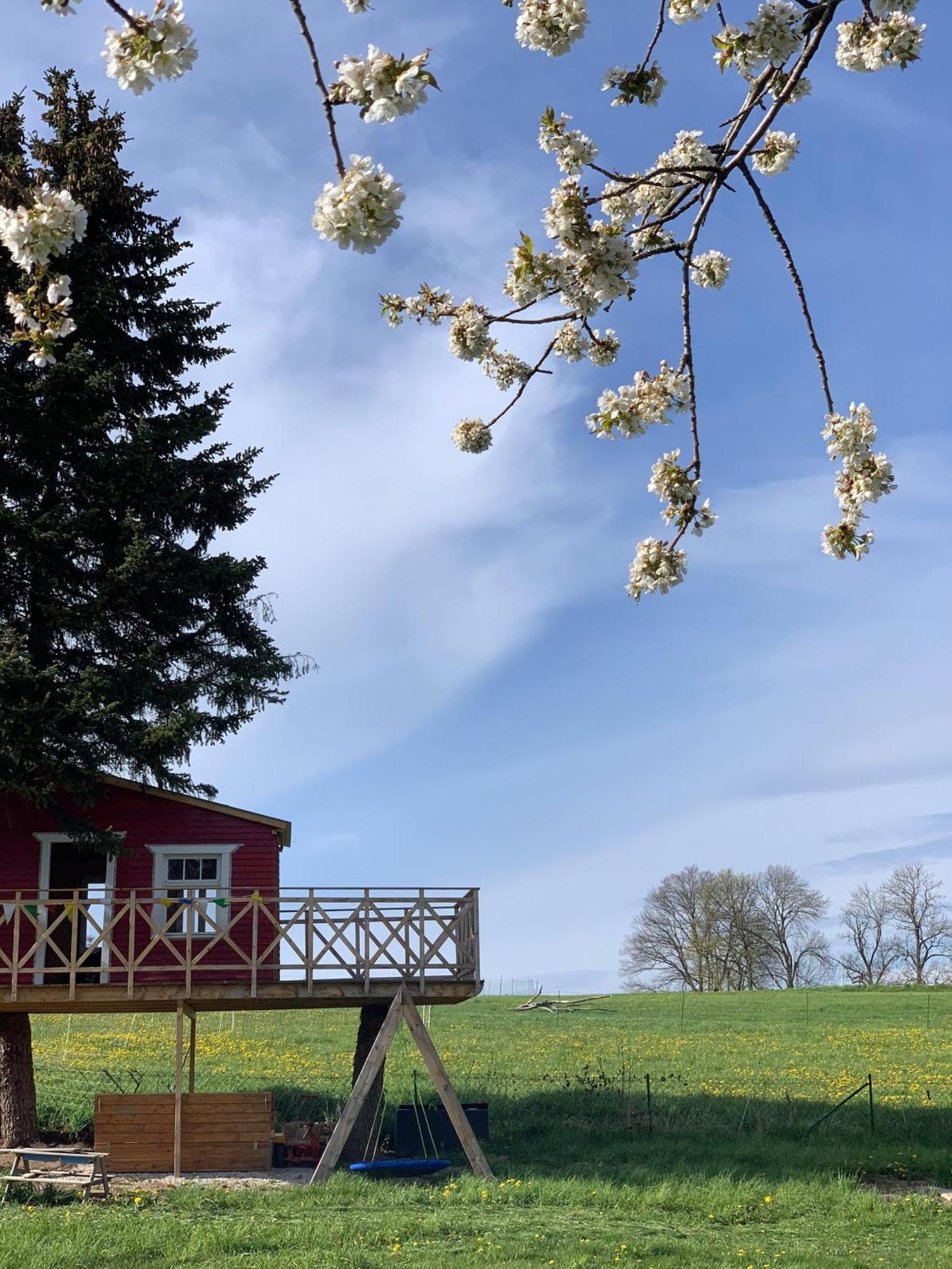 Ferienwohnung-Familienidylle-Im-Vogtland-80Qm Neumark  ภายนอก รูปภาพ